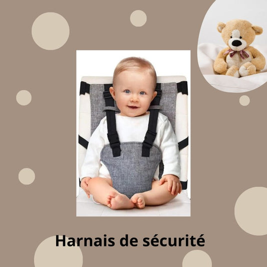 HARNAIS DE SECURITE CHAISE BEBE - AU PAYS DE BEBE